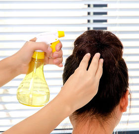 Wholesales Various type hair spray bottle with trigger sprayer for popular sale